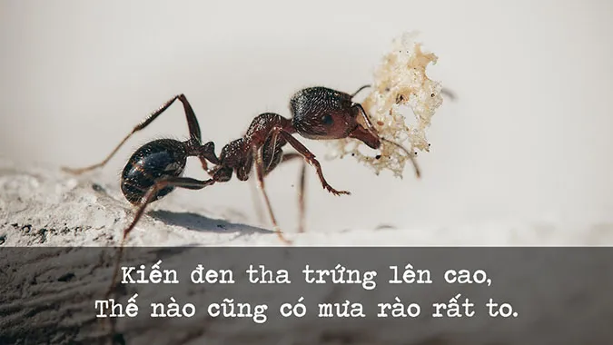 122 câu ca dao, tục ngữ về thời tiết, khí hậu 7