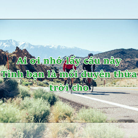 tục ngữ hay về tình bạn