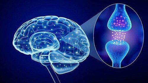 Serotonin là một chất trung gian hóa học quan trọng của hệ thần kinh trung ương
