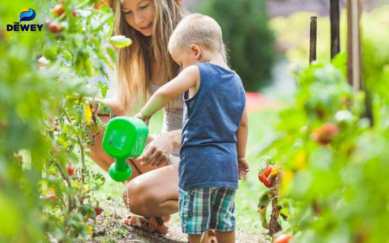 cac loai nang khieu 1