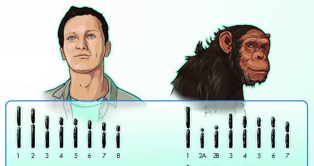 cach li truoc hop tu la 3