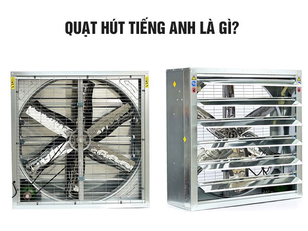 Quat-hut-tieng-anh-la-gi