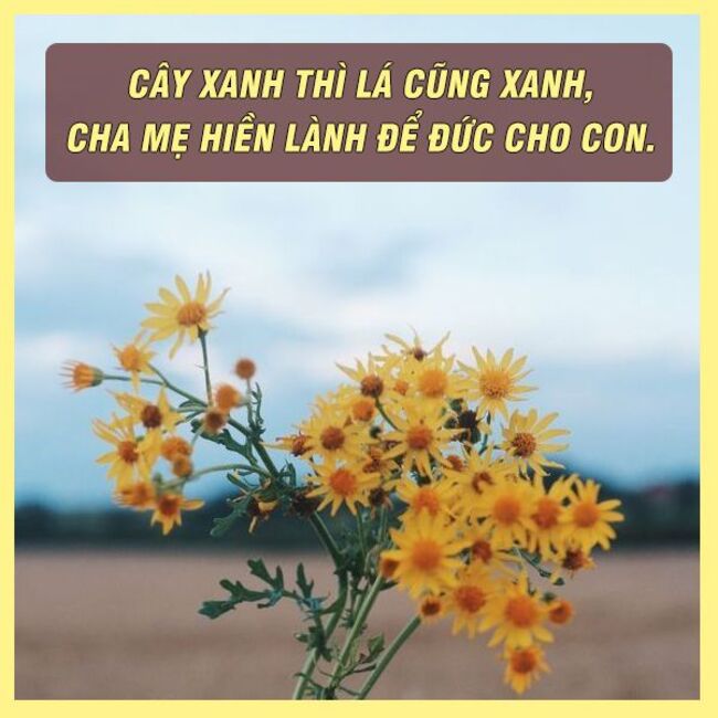 Tục ngữ, thành ngữ về lòng nhân ái