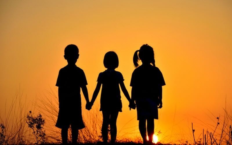 Chuyện tình bạn đặc biệt