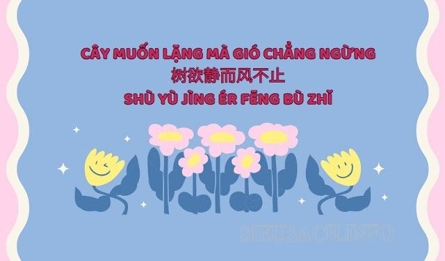 cay-muon-lang-ma-gio-chang-ngung.jpg