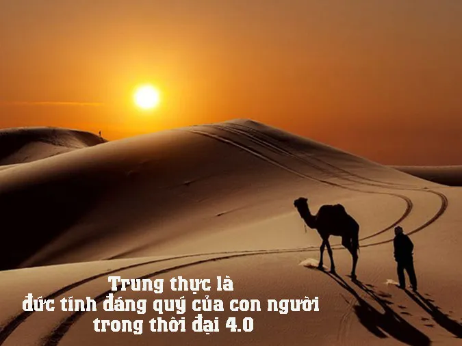 cay-ngay-khong-so-chet-dung-voh-2