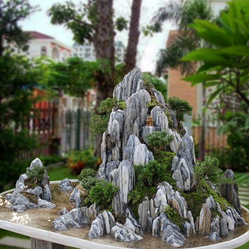 cay reu thuong moc o noi co dieu kien nhu the nao 5