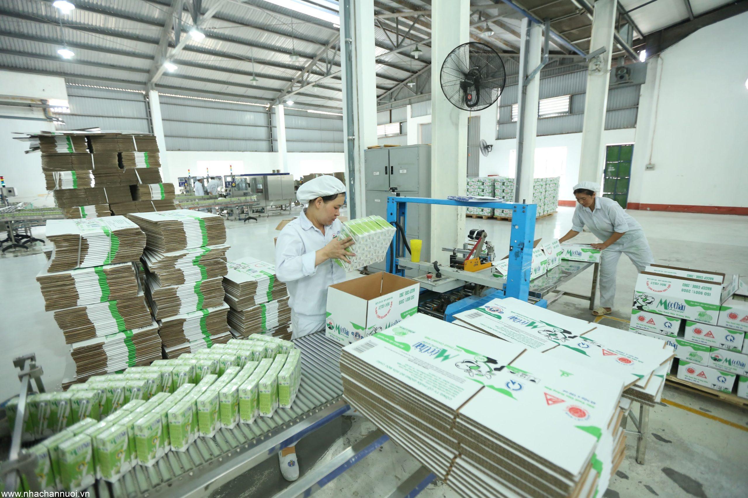 chan nuoi bo sua o nuoc ta hien nay co xu huong phat trien manh o khu vuc nao sau day 1