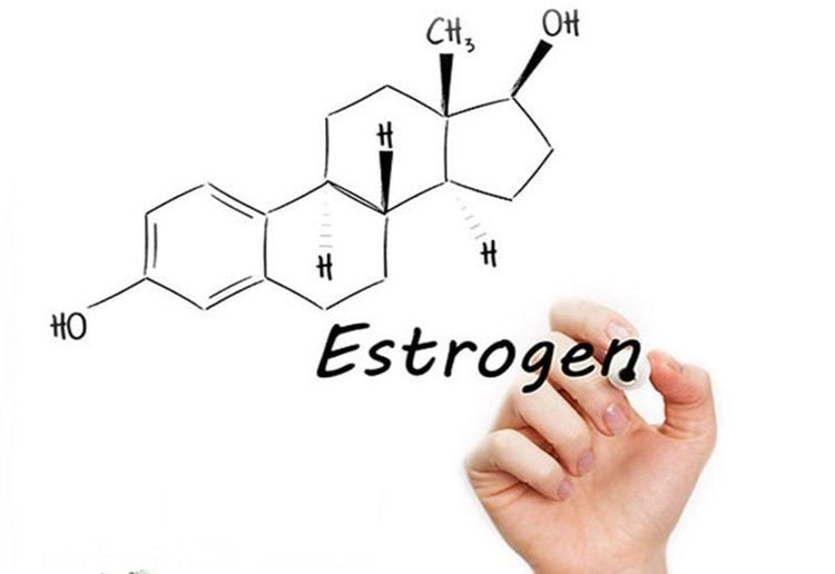 Chất béo có tác dụng kích thích sản xuất estrogen ở nữ giới