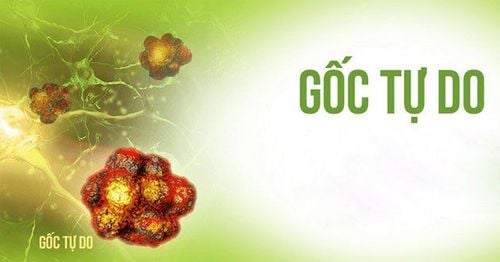 Các gốc tự do có liên quan đến quá trình lão hóa và một loạt bệnh lý của con người