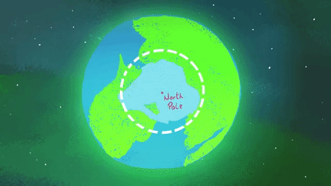 chau nam cuc con duoc goi la 1