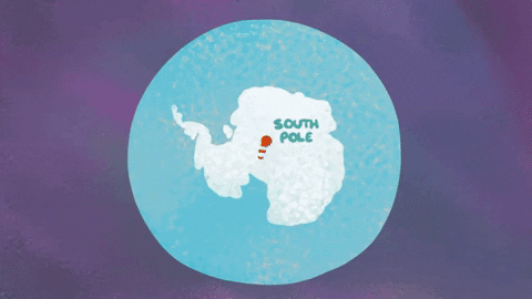 chau nam cuc con duoc goi la 4