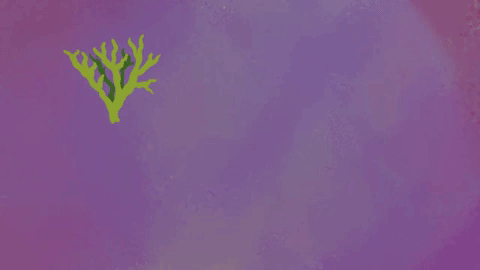 chau nam cuc con duoc goi la 6