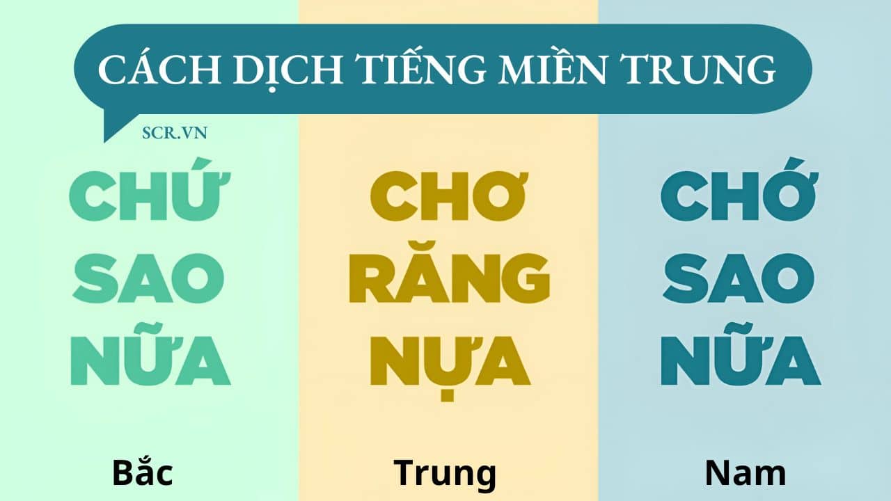 55+ Câu Chửi Tiếng Miền Trung, Những Câu Nói Miền Trung Khó Hiểu