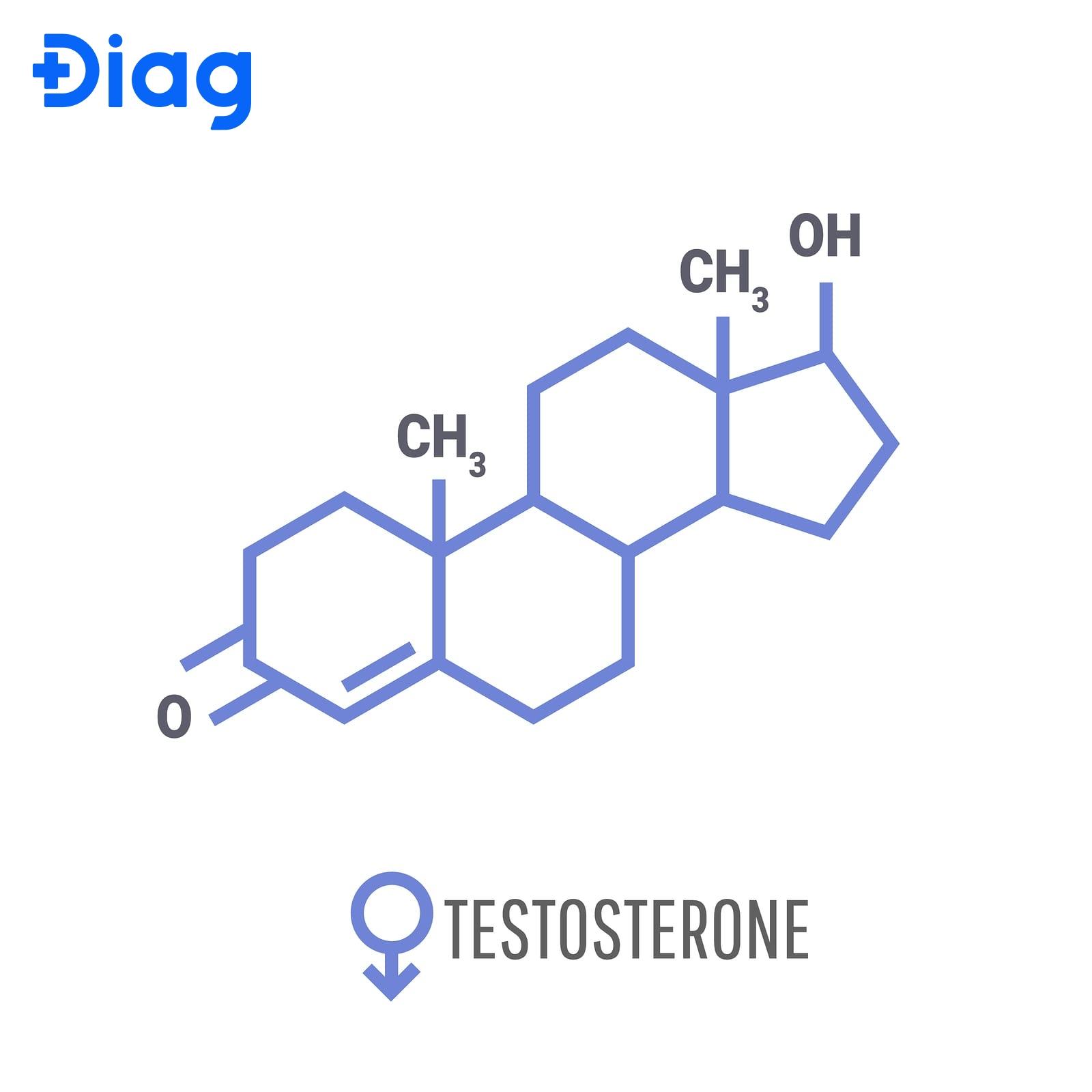 Một vai trò của cholesterol là tham gia vào quá trình tổng hợp testosterone ở nam giới.