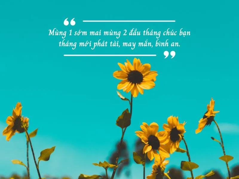 voh-loi-chuc-mung-1-dau-thang-cho-dan-kinh-doanh-2