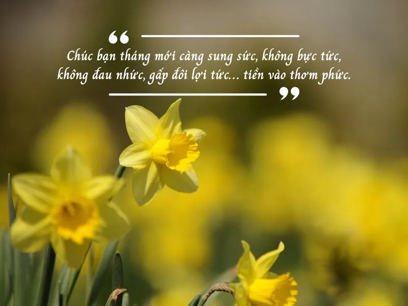 voh-loi-chuc-mung-1-dau-thang-cho-dan-kinh-doanh-3