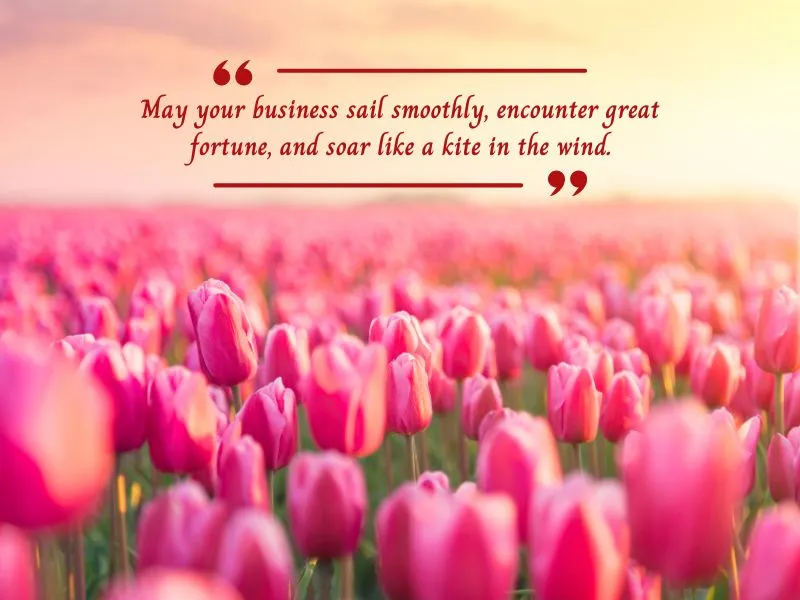 voh-loi-chuc-mung-1-dau-thang-cho-dan-kinh-doanh-4