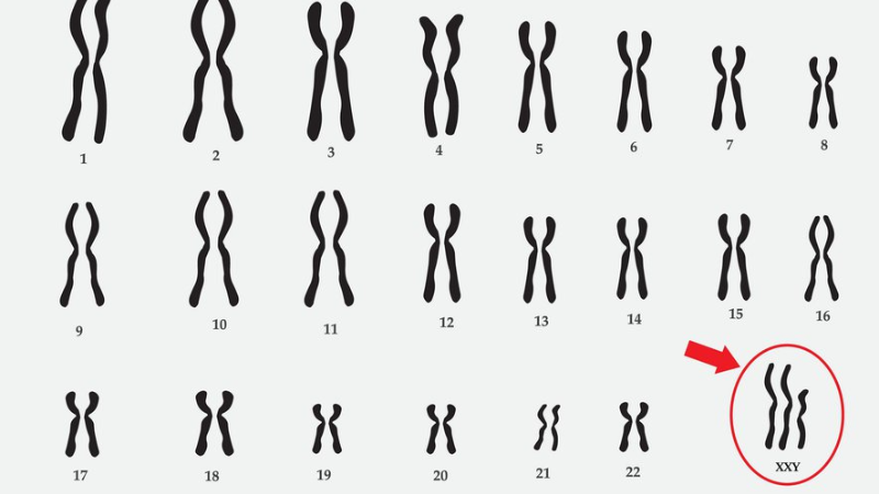 Claiphento là gì? Gây ảnh hưởng khả năng sinh sản nam giới ra sao? 1