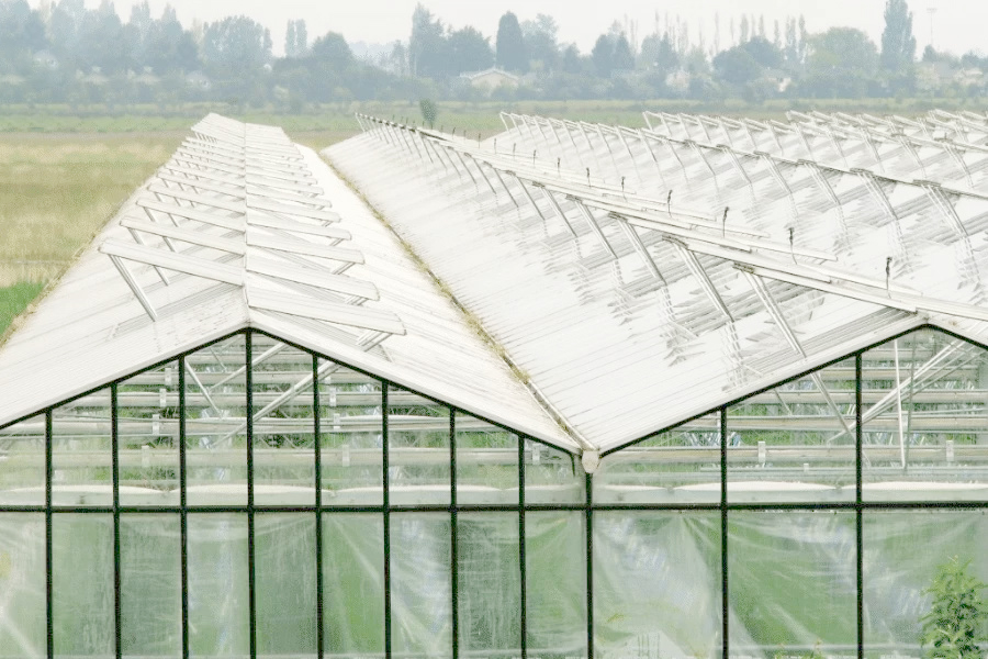 nhà kính đóng mở kiểu cánh bướm