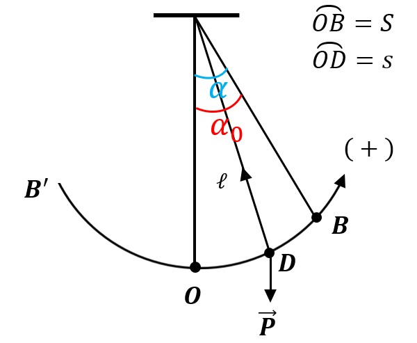 phương trình dao động của con lắc đơn