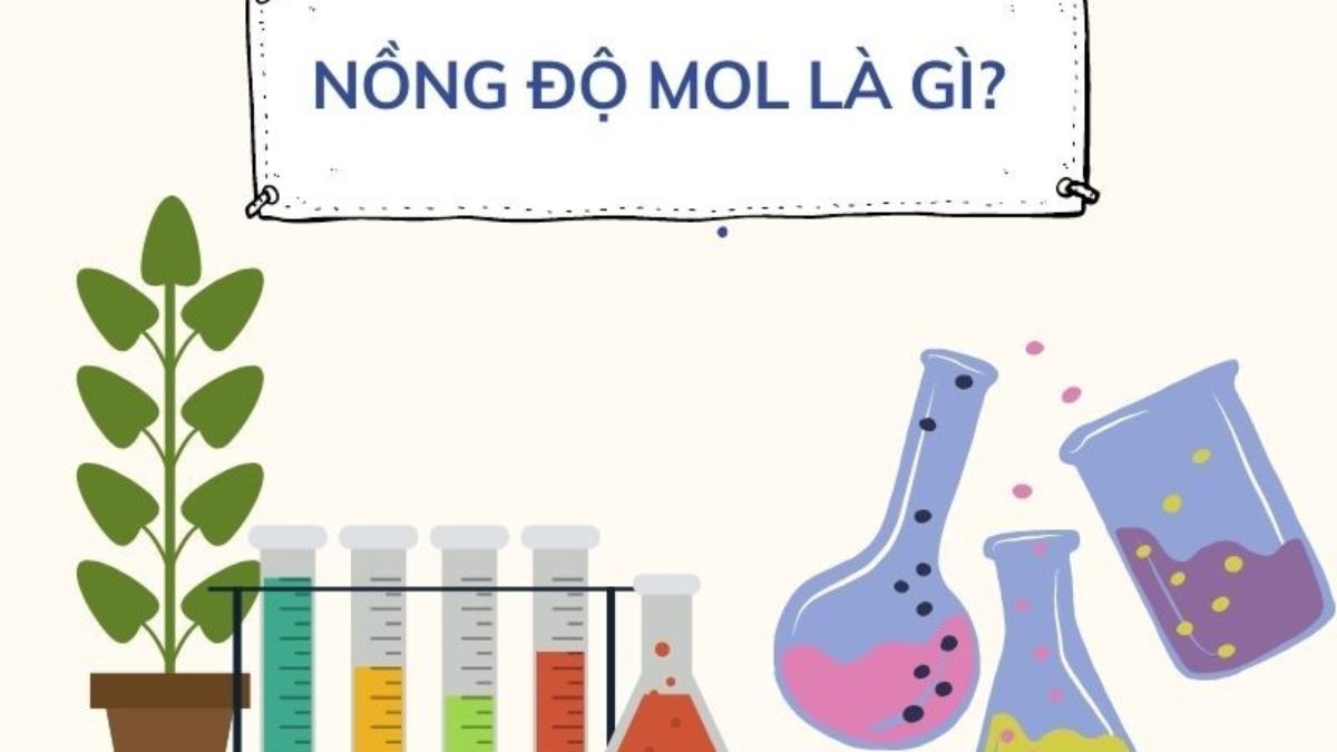 Nồng độ mol là gì?