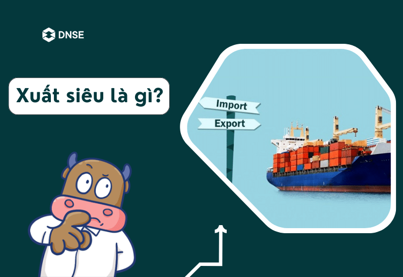Tìm hiểu về Xuất siêu