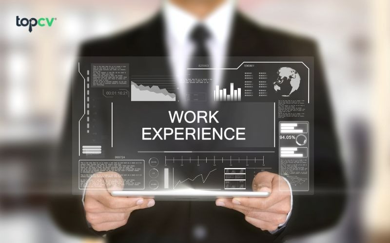 Nên tránh lỗi nào khi viết CV cho sinh viên mới ra trường?