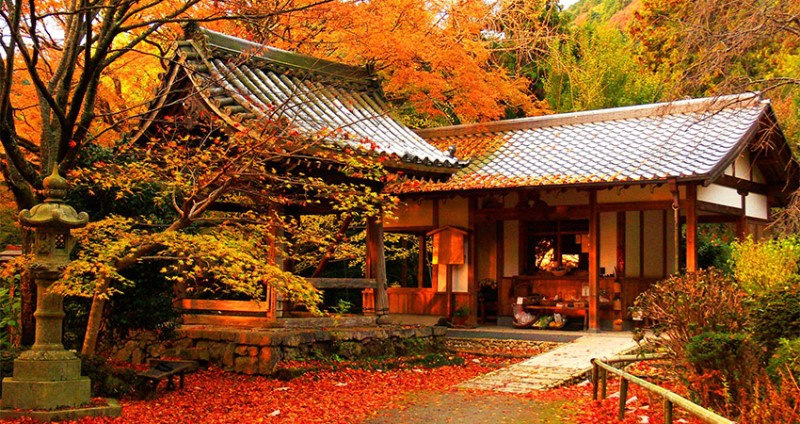 dac diem khi hau phia nam cua nhat ban la 3