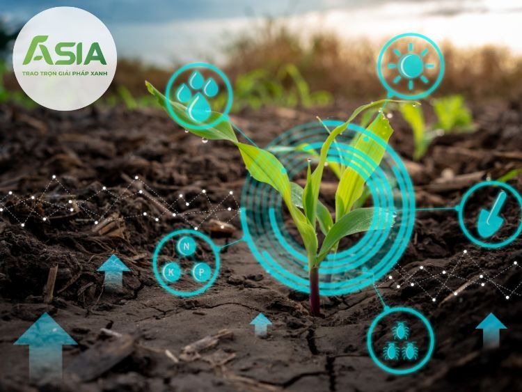 dac diem sinh thai cua cay ngo la ua khi hau 3