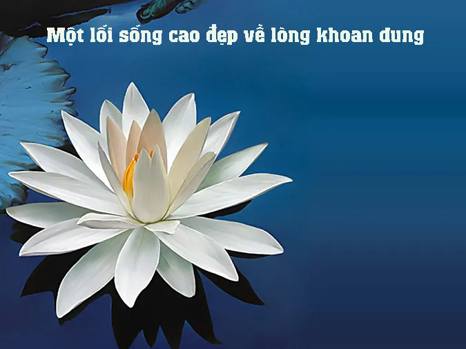 danh-ke-chay-di-khong-ai-danh-nguoi-chay-lai-voh-1