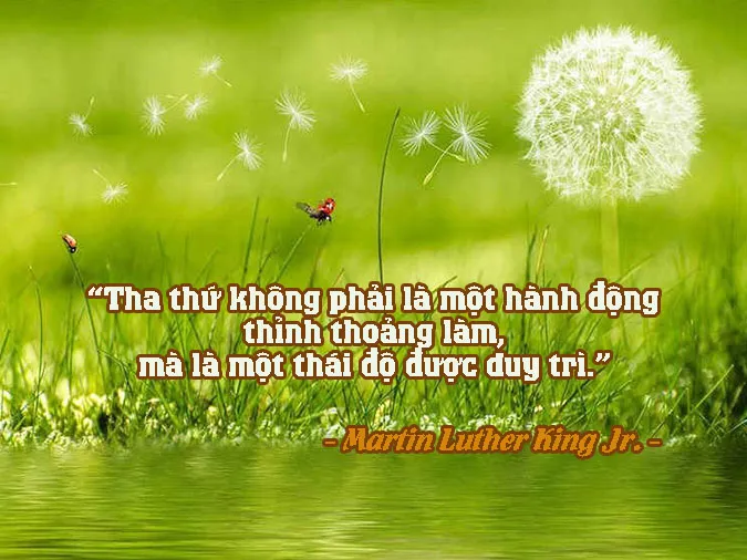 danh-ke-chay-di-khong-ai-danh-nguoi-chay-lai-voh-2