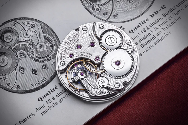 dao dong cua con lac dong ho la 2