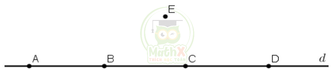 đề cương ôn tập giữa kì 2 toán 6 2023 2024 trắc nghiệm câu 6