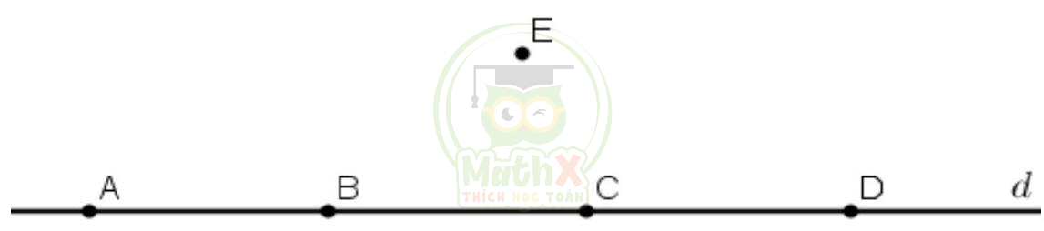 đề cương ôn tập giữa kì 2 toán 6 2023 2024 trắc nghiệm câu 5