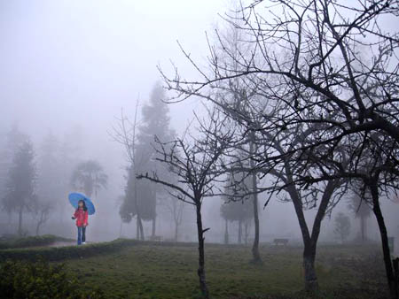 Bài 11. Thực hành đọc bản đồ các đới và kiểu khí hậu trên Trái Đất, phân tích biểu đồ một số kiểu khí hậu SGK Địa lí 10 Chân trời sáng tạo</>