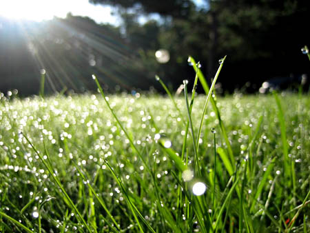 Bài 11. Thực hành đọc bản đồ các đới và kiểu khí hậu trên Trái Đất, phân tích biểu đồ một số kiểu khí hậu SGK Địa lí 10 Chân trời sáng tạo</>