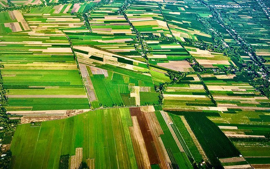 Tổng quan Đồng bằng sông Hồng (vị trí địa lý, đặc điểm tự nhiên, địa hình và khí hậu,…)