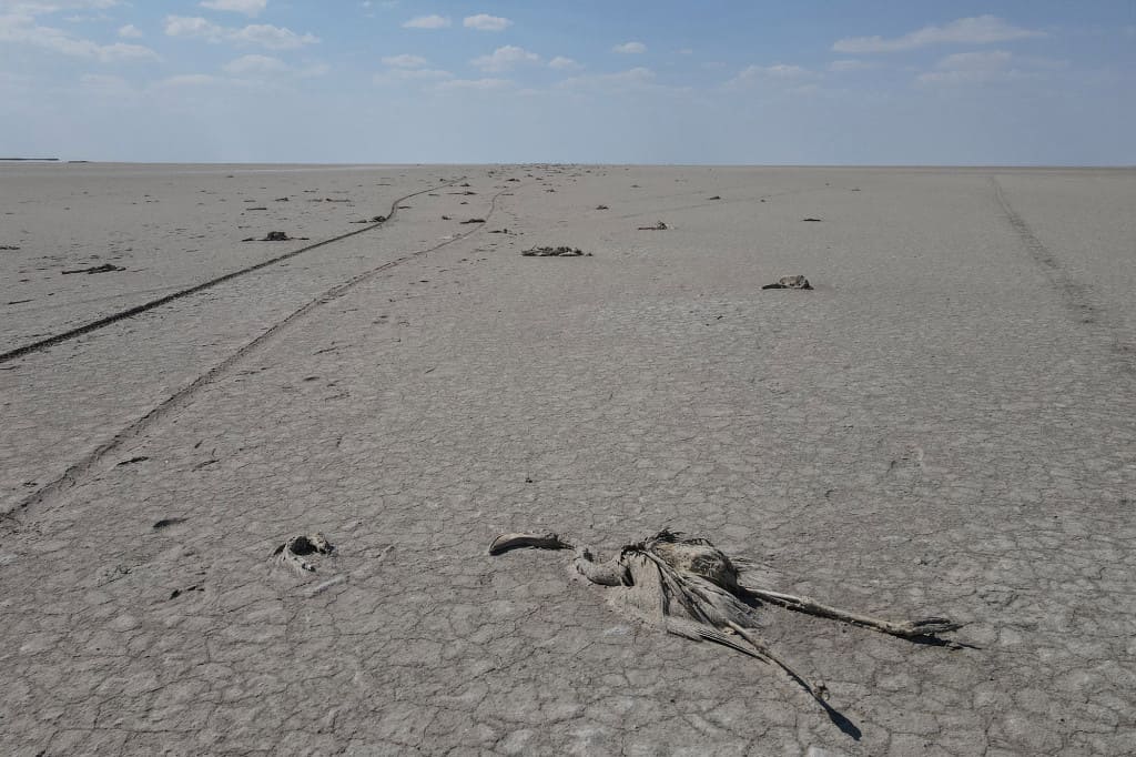 Khí hậu chủ yếu của Tây Nam Á là? Đặc điểm khí hậu tại khu vực này