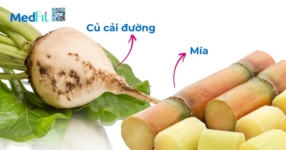 hai nguồn chiết xuất sucrose chính