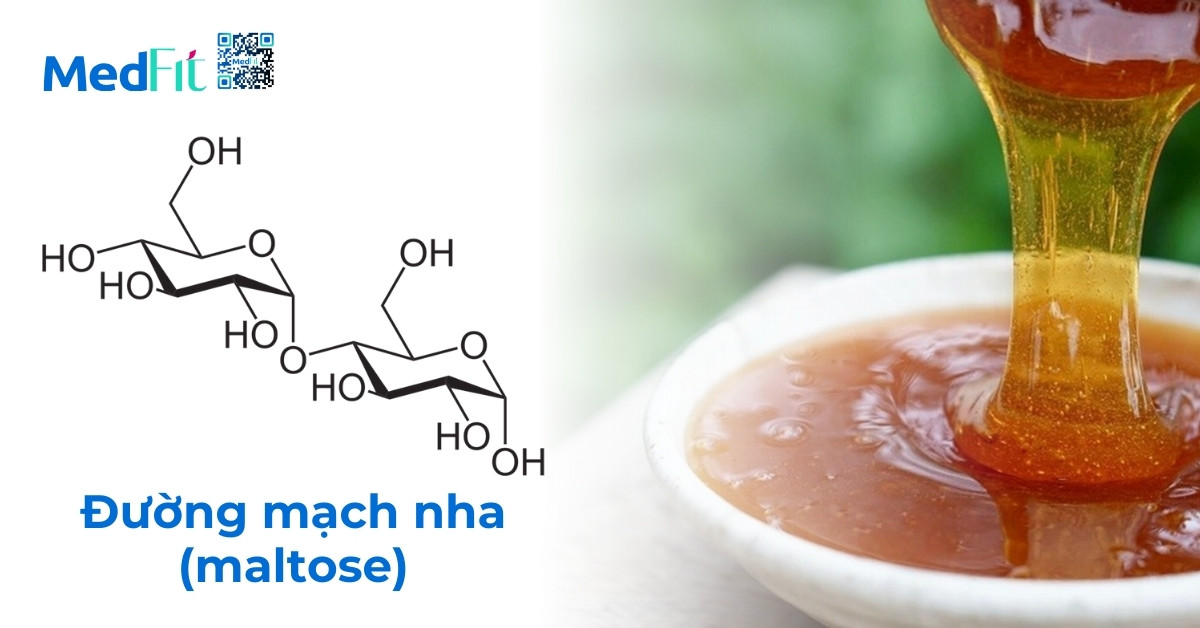 công thức phân tử của maltose