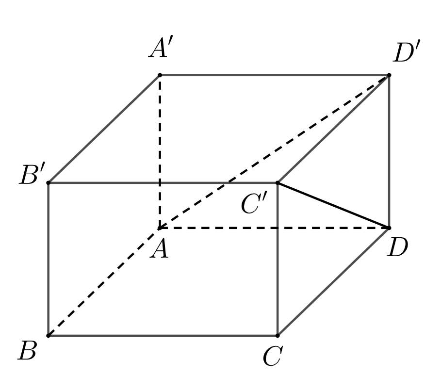 Lời Giải Chi Tiết Đề Thi Tốt Nghiệp THPT Môn Toán Năm 2023
