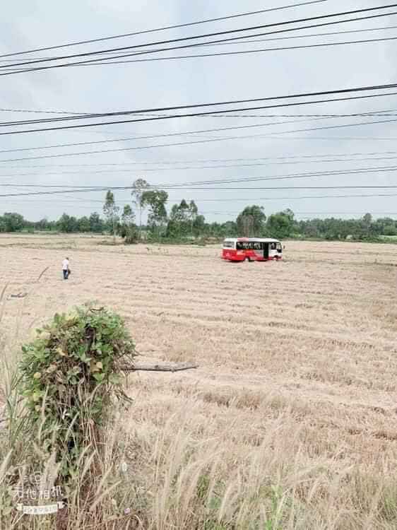 Lạc lối giữa cánh đồng bao la bát ngát cảnh vật hữu tình nhờ ơn chị Google