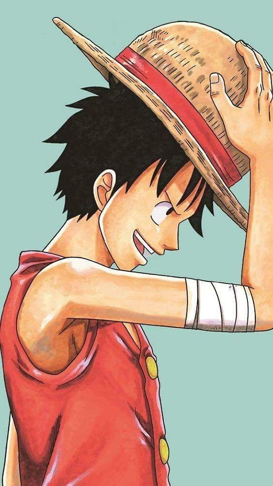 Hinh Anh Luffy Om Mu Cuoi Rat Ngau