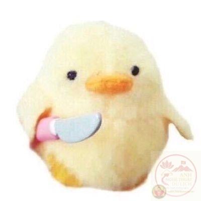 Vịt meme bựa khiến mạng xã hội dậy sóng bởi sự lầy lội khó cưỡng