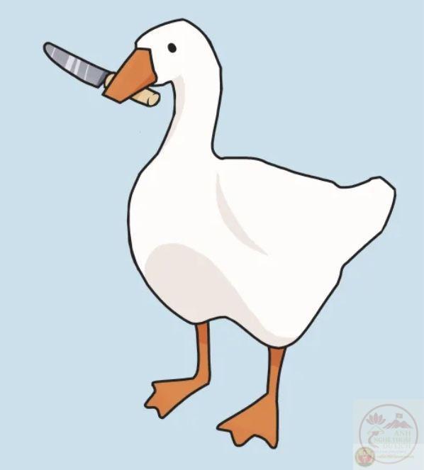 Duck meme