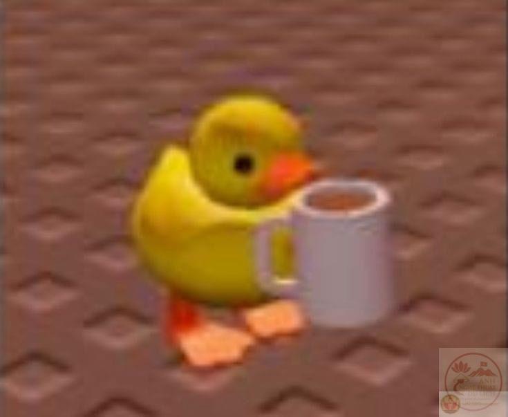 Meme con vịt vàng