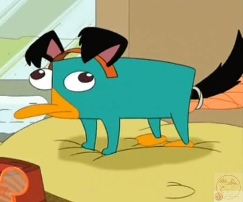 Hình chế thú mỏ vịt cute giúp bạn bè dễ dàng gửi tặng nhau để tạo niềm vui