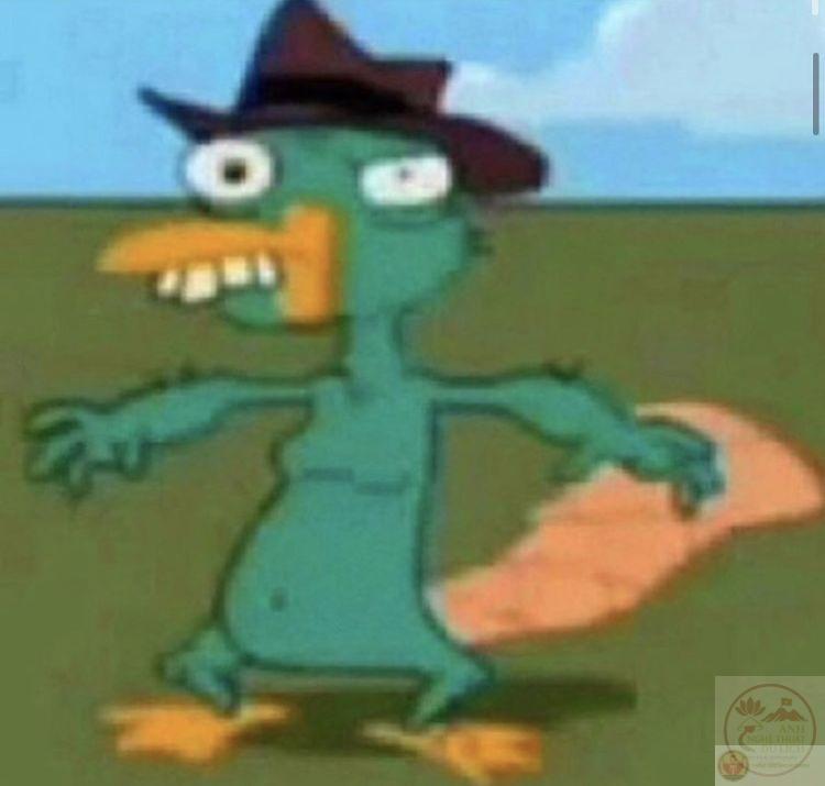 Hình ảnh thú mỏ vịt bá đạo tạo nên sự mới lạ và gây bất ngờ thú vị