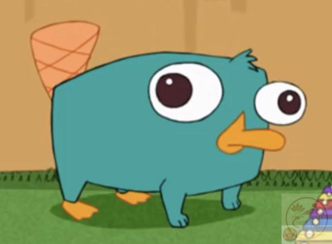 Chi tiết thú mỏ vịt hài hước trở thành điểm nhấn cực hot trên mạng xã hội